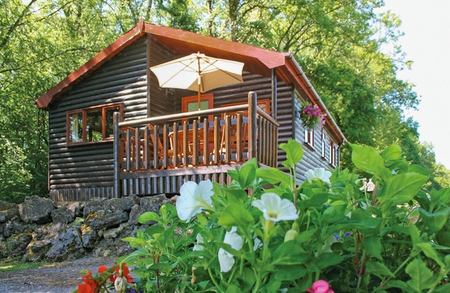 Pine log lodge with one double and one twin.