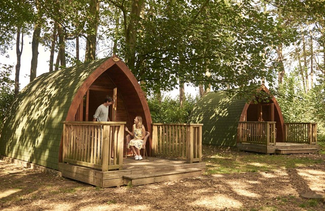 Pinewood Camping Pods - At Port Lympne Reserve