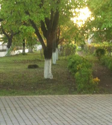 Piroshka Hotel