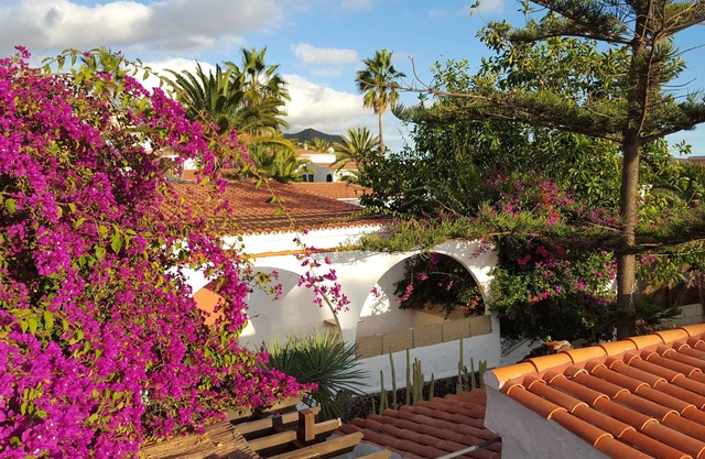 PLEASANT APARTMENT 2/4 PEOPLE ON THE HEIGHTS OF LOS CRISTIANOS