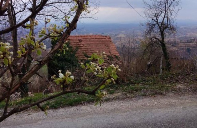 Plesivica Hillside HolidayHome/Hot-Tub - 1 Bedroom