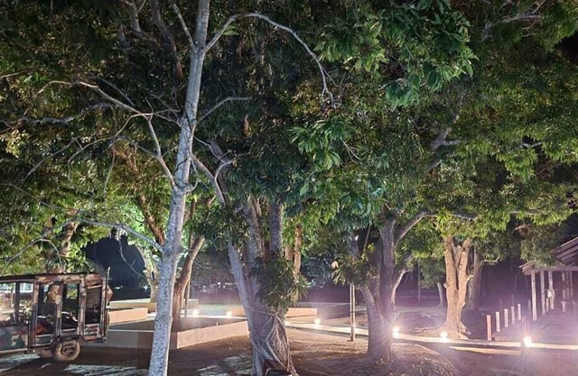 Porto Jofre Pantanal