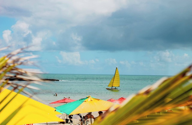 Praia do Frances - House with Sea View - Feet in the Sand