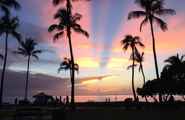 Private 2B cottage, walk to Kahekili bch!