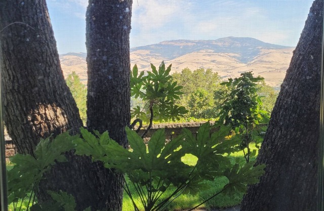 Private and quiet luxury studio suite on three acres overlooking Ashland.