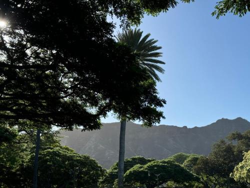 Private Bedroom in Shared Guesthouse Waikiki Beach Area