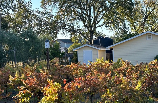 Private Cottage 5 minutes from Downtown Healdsburg and Windsor on country lane