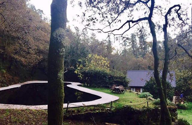 Private forest with natural pools