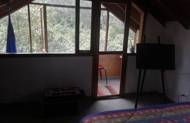 Private forest view!