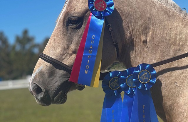 Private Loft at a Working Show Barn ~ Pets Welcome!