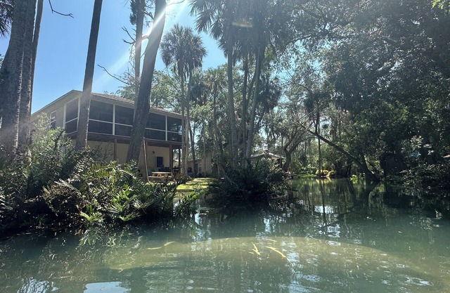 Private Spring Swimming & Serenity