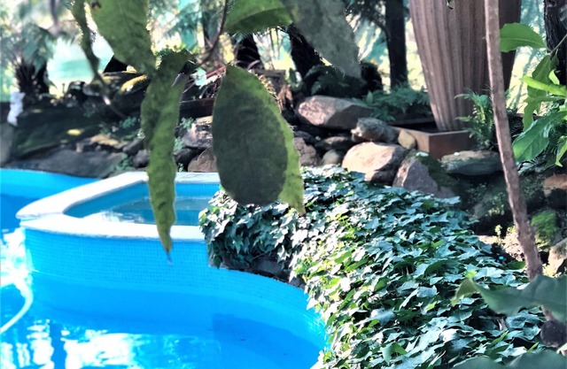 Private Suite in Resort Estate: pool/spa/tennis/billiards/fireplace/sauna/cellar