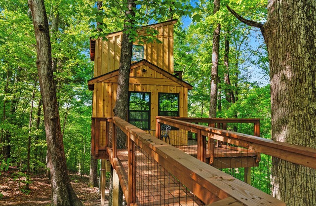 Private Treehouse getaway on Lake Barkley. Luxury in the trees!