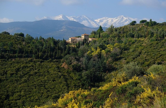 Pyrenean Paradise - Stunning 10 Bedroom House - Sleeps 23+