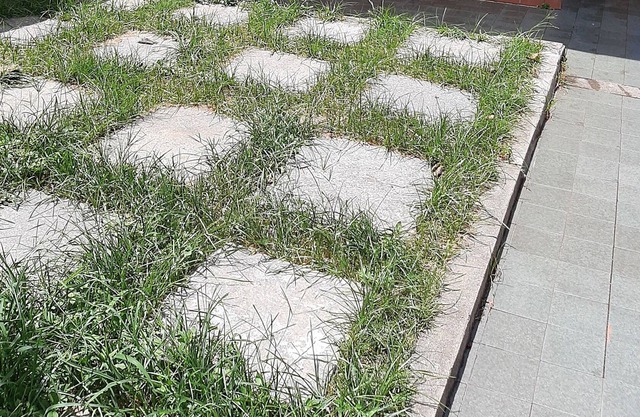 QTO SAO Sebastiao-sp Centro