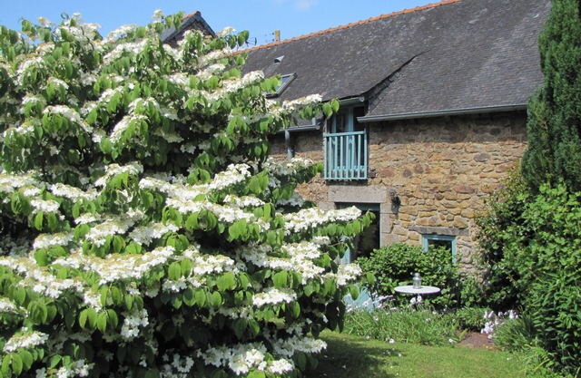 Quality Traditional Gite for 2 in Gomene central Brittany - HEATED pool & WIFI