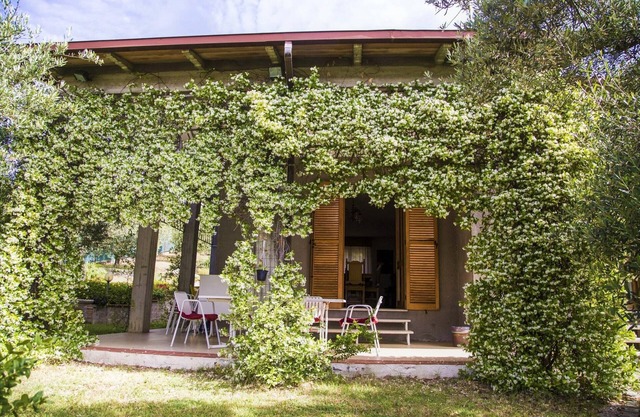 Quiet,amid olive trees,BBQ,garden,free parking,10 min drive to centre & motorway