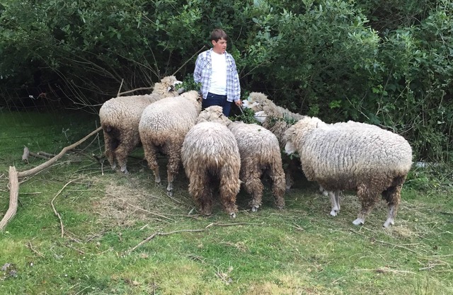 Quiet Arcata Hideaway