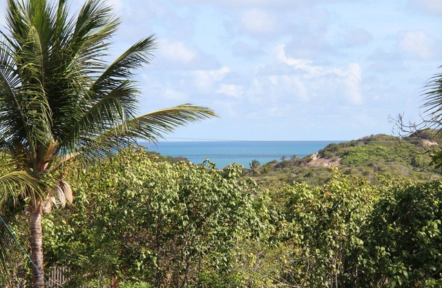 Quiet dreamhouse in trendy Pipa, with private pool and oceanview