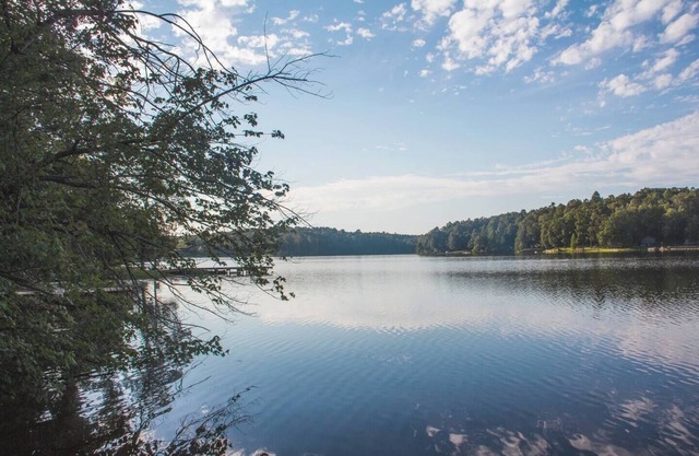 Quiet Lake Front Cabin!