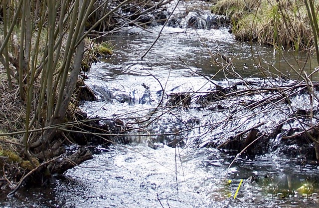 Quiet, pet-friendly, on Horse Creek and Minutes from Estes Park and RMNP!