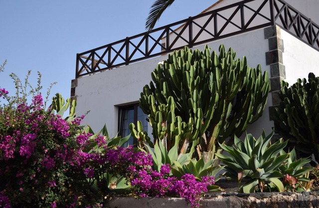 Quiet villa in La Oliva, Fuerteventura.