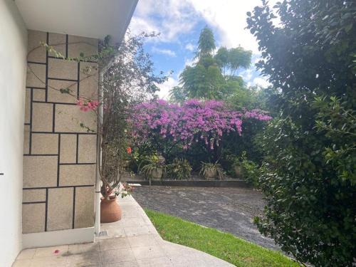 Quinta do Vale Vaqueiro