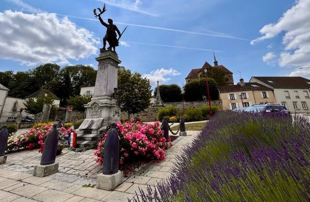 Racines Bussieroises Villa Avec Piscine à la Campagne