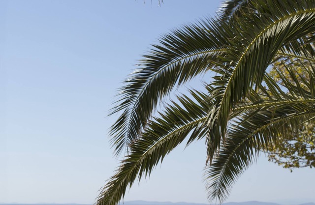 Rawda Resort Hotel Altinoluk