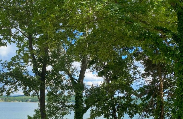 Ray's Retreat - Pickwick Lake - Great Getaway