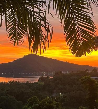 Recanto Ipê Amarelo