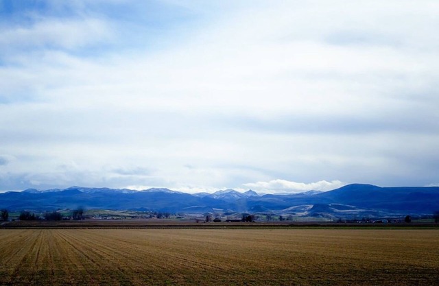 Red Rock House on the edge of Marsing. 2 Bedrooms 1 Bath