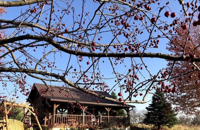 Redbird Ridge Cabin with View