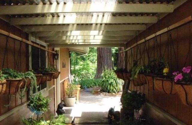 Redwoods on the River!