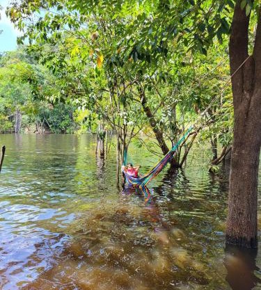 Refúgio na Floresta