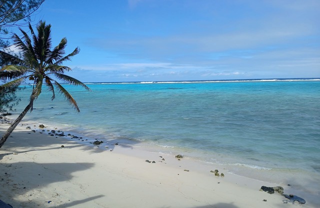 Reflections On Rarotonga