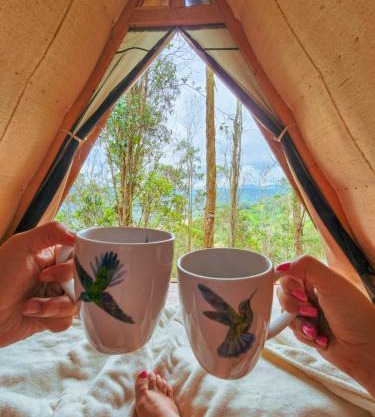 Refugio Explora Verde