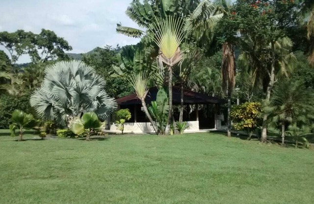 relationship human being nature