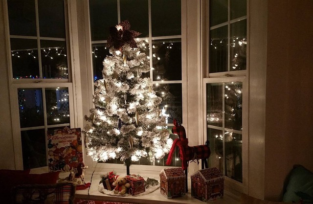 Relax at the Christmas Inn. Close to Rainbow Springs and the Florida Green-way