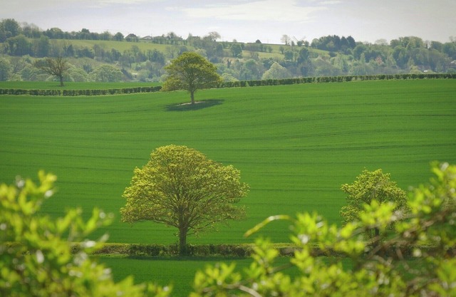 Relax in airy Davenport
