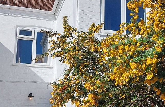 Relax in Style – Beautiful Family Home Near Clowne Greenway
