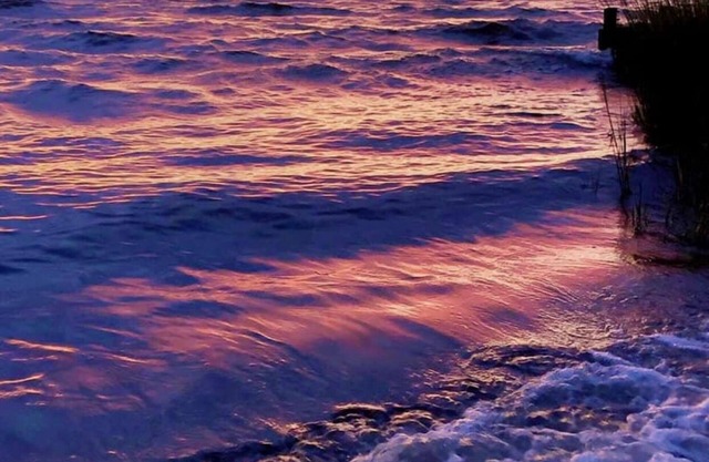 Relax or Play on the Choptank River!