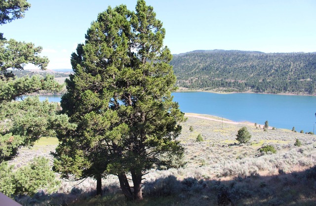 Relax & unwind in the mountains with a beautiful view of Newlan Creek Reservoir