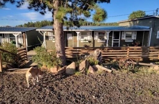 Relaxing Cabin in the heart of Red Feather Lakes!