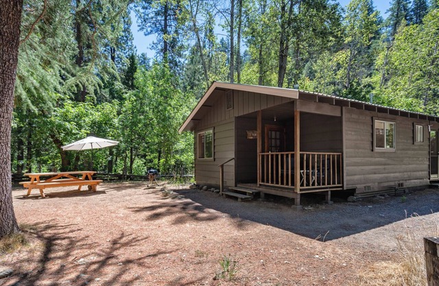 Relaxing Fawn Cabin on Coffee Creek in Trinity Alps