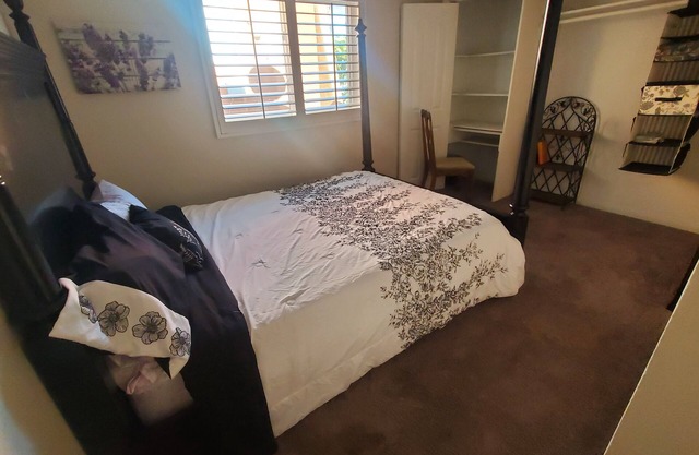 Relaxing pool oasis in quiet neighborhood