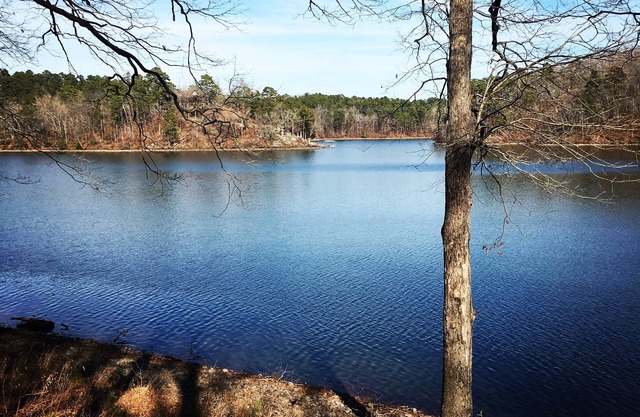 Relaxing Retreat on Lake Catherine in Hot Springs! Private Dock! Golf!