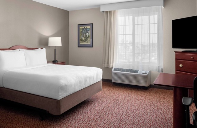 Relaxing Room in Bay Area | Hotel with Outdoor Patio & Free Parking