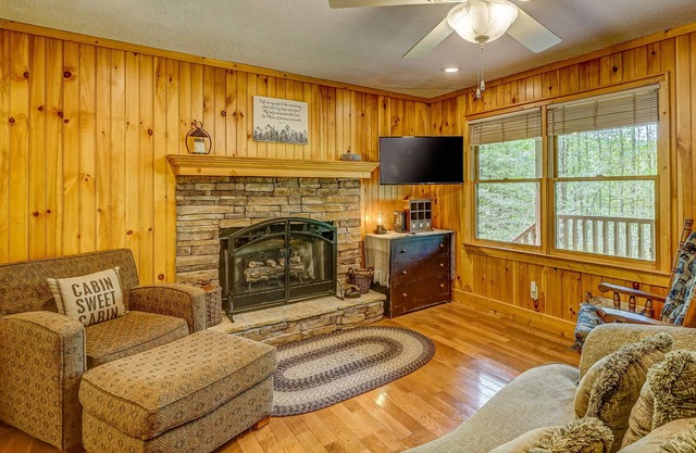 Remote dog-friendly cabin w/ private hot tub, mountain views, and gas fireplace