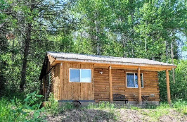 Renovated Historic Cabin - Teton Views!